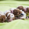 24.6.2014
